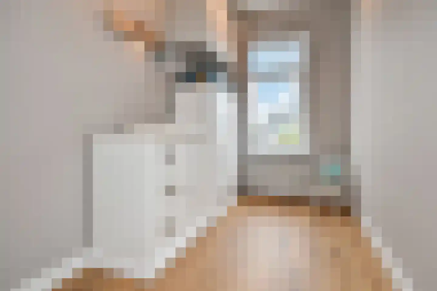 Marcelisstraat 33 Den Haag thumbnail 7