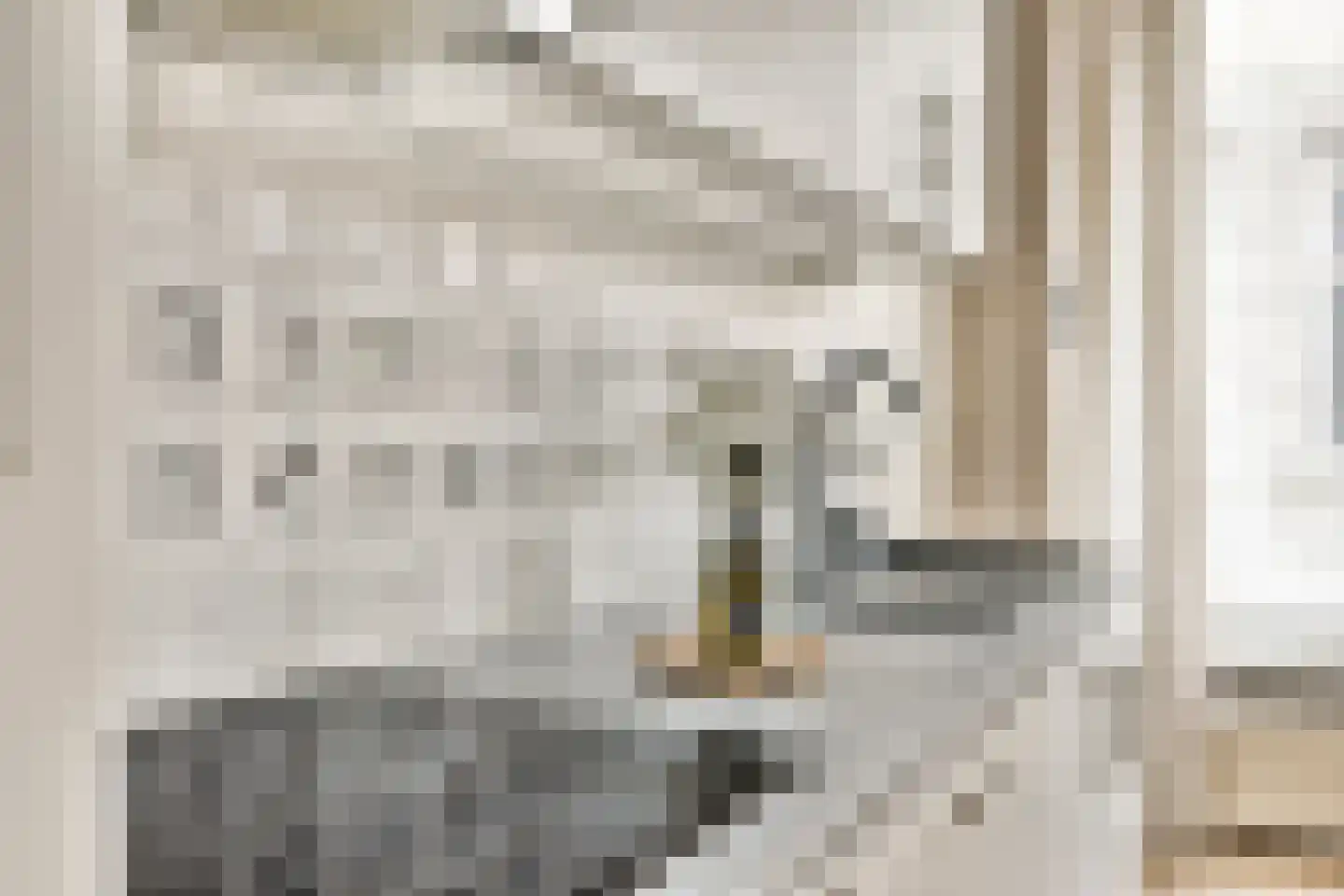 Marcelisstraat 48 Den Haag thumbnail 17