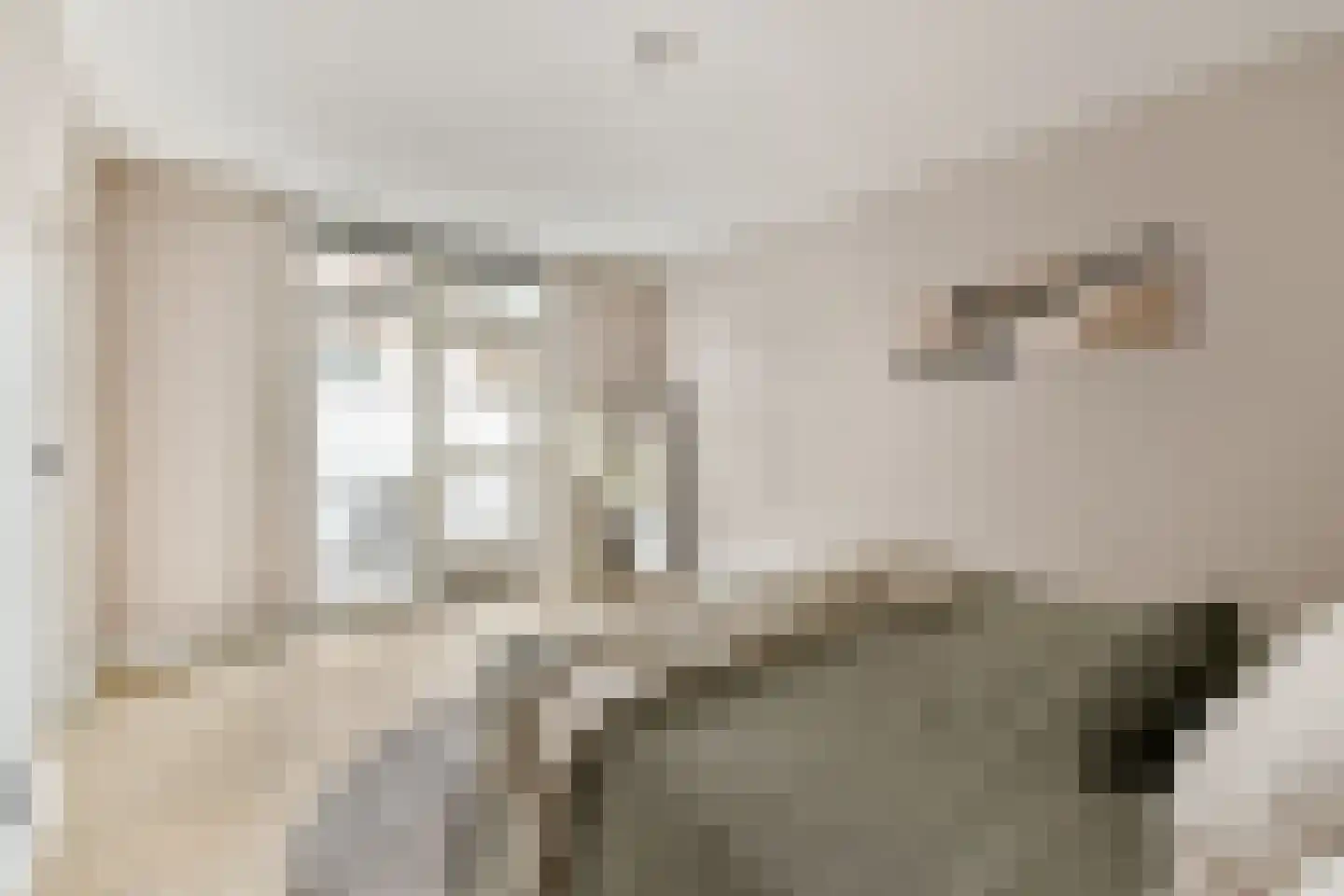 Marcelisstraat 48 Den Haag thumbnail 18