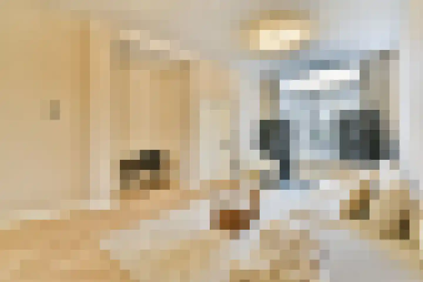 Marcelisstraat 48 Den Haag thumbnail 6