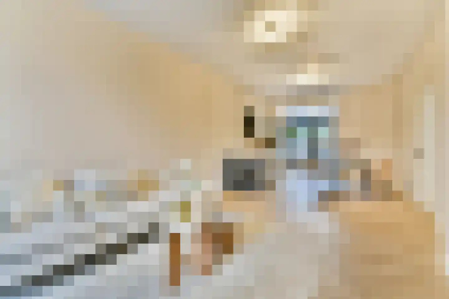 Marcelisstraat 48 Den Haag thumbnail 7