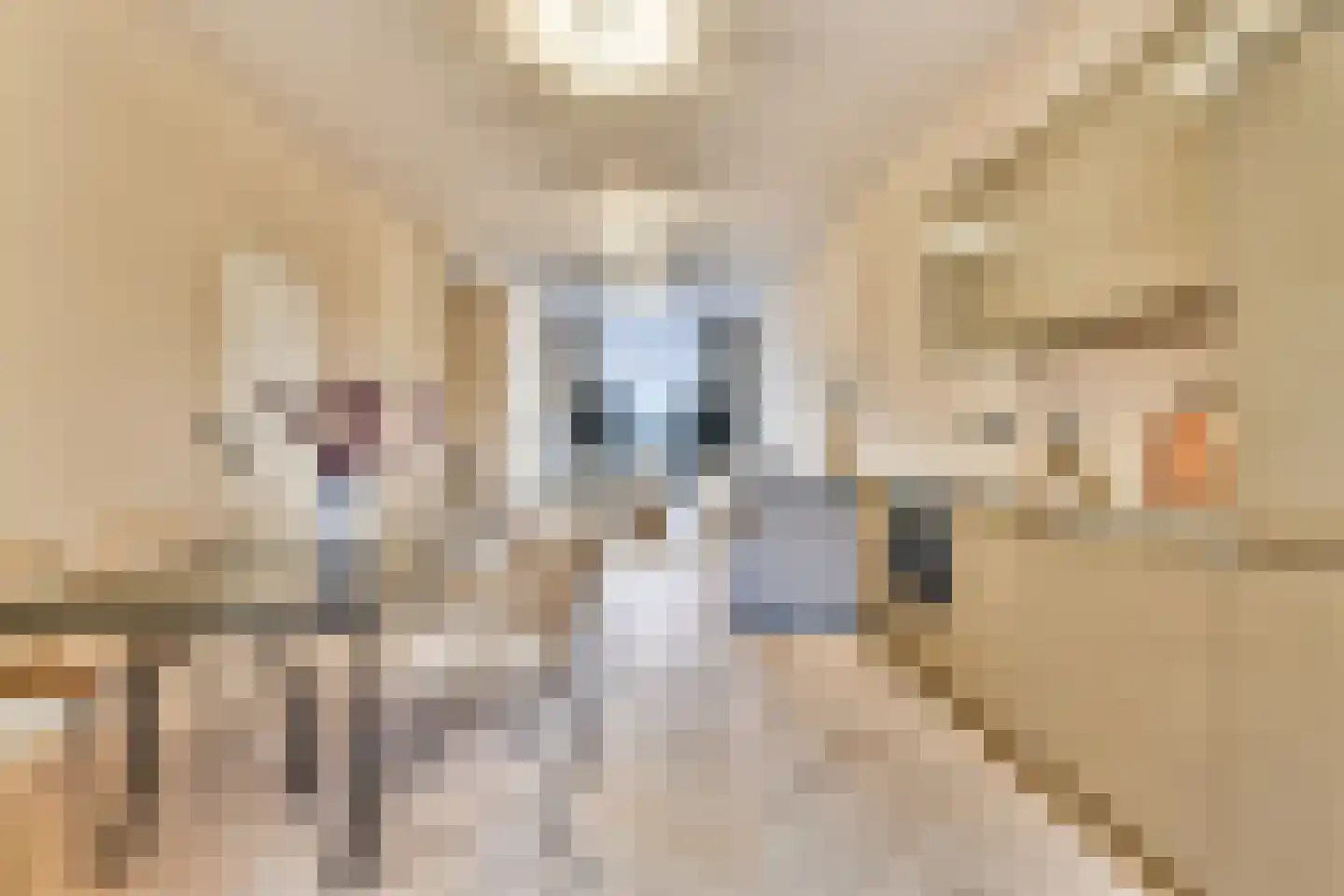 Marcelisstraat 48 Den Haag thumbnail 9