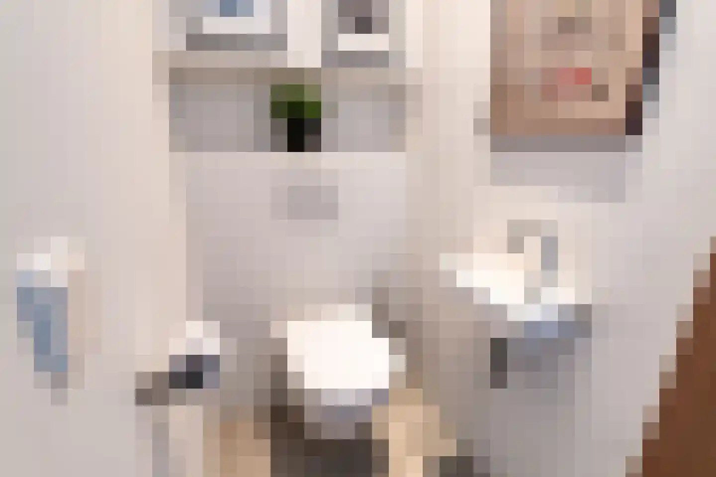 Marcelisstraat 6 Den Haag thumbnail 19