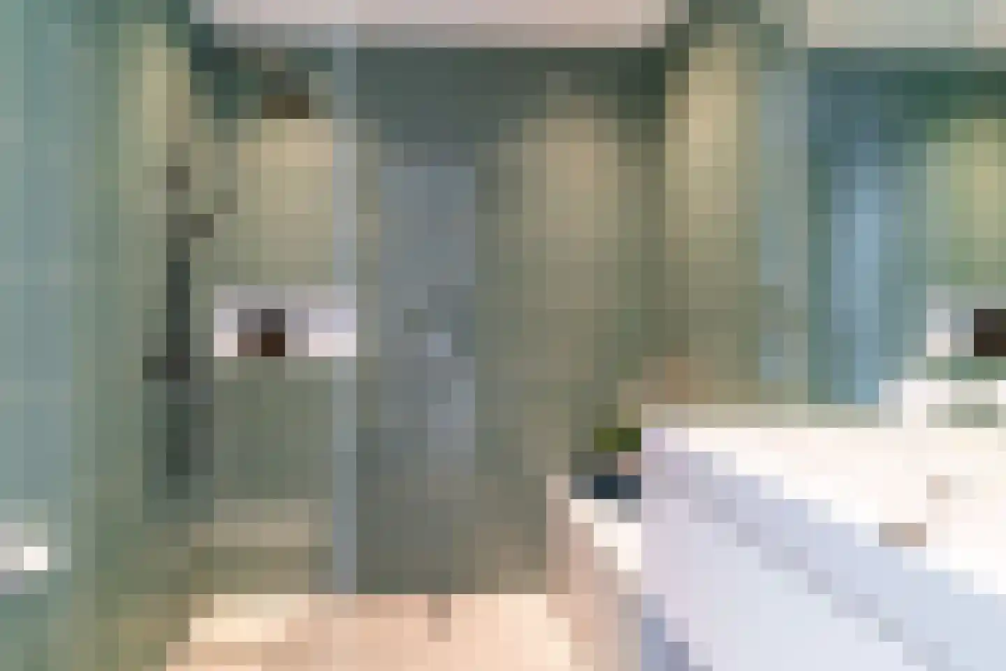 Marcelisstraat 6 Den Haag thumbnail 22