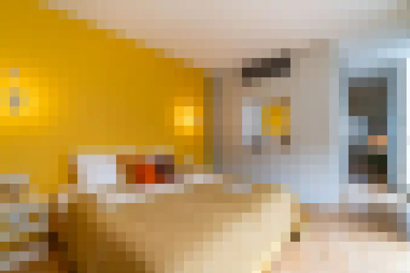 Marcelisstraat 6 Den Haag thumbnail 31