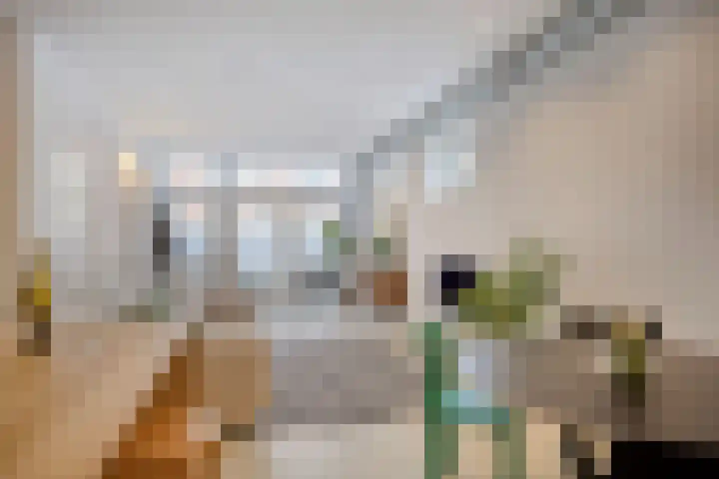 Marcelisstraat 75 A Den Haag thumbnail 5