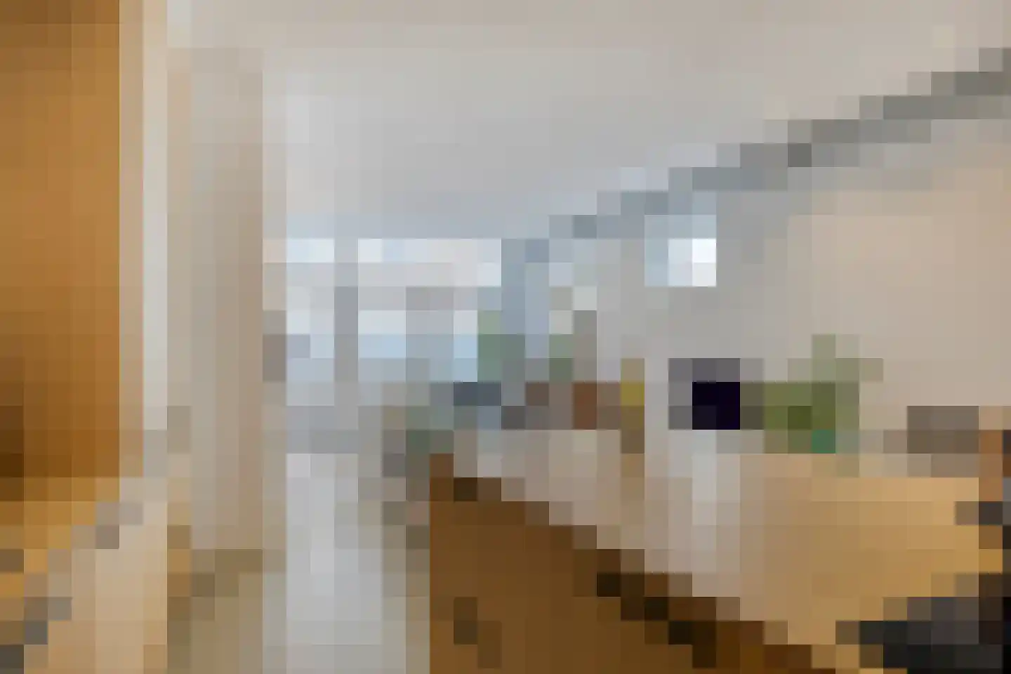 Marcelisstraat 75 A Den Haag thumbnail 8