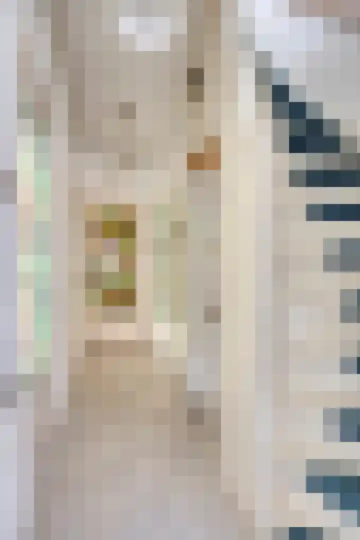 Marcelisstraat 75 Den Haag thumbnail 6