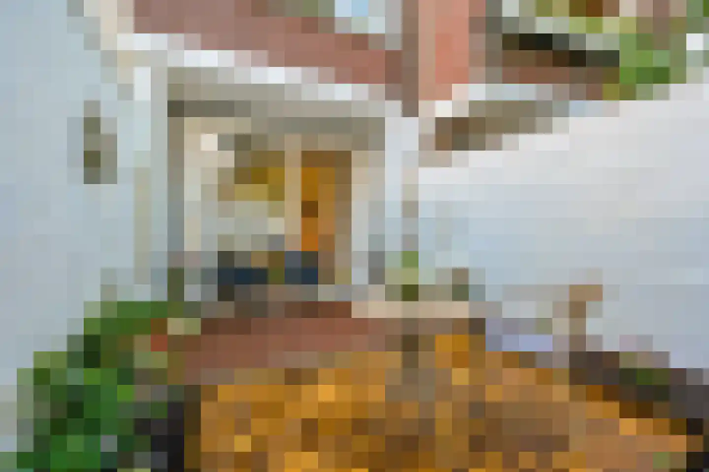 Marcelisstraat 80 Den Haag thumbnail 17