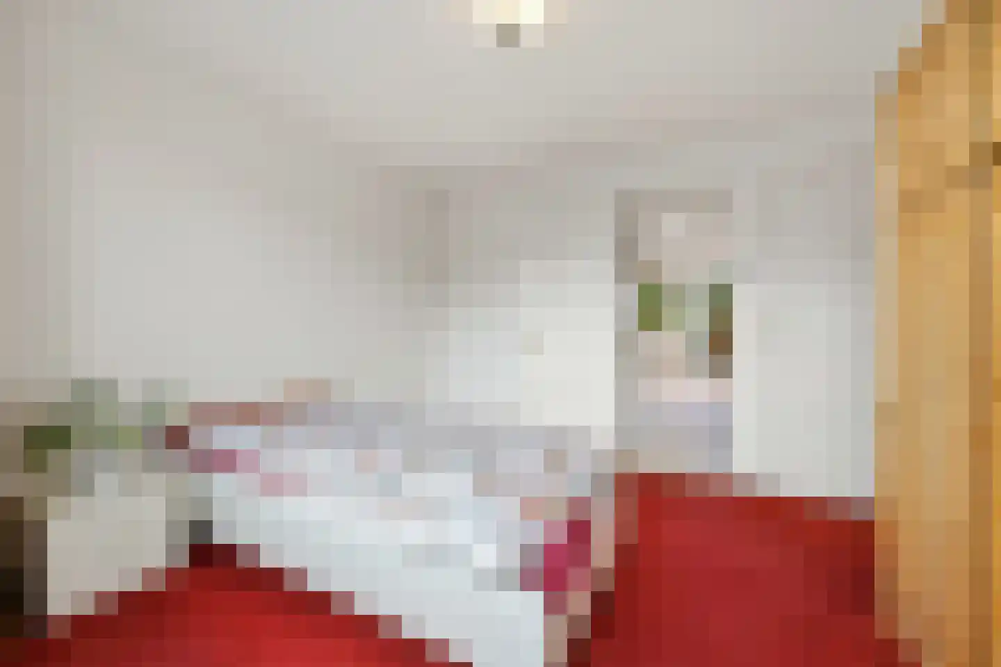 Marcelisstraat 80 Den Haag thumbnail 33