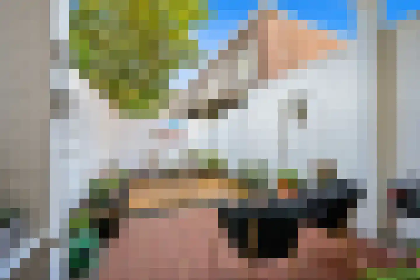 Marcelisstraat 80 Den Haag thumbnail 5