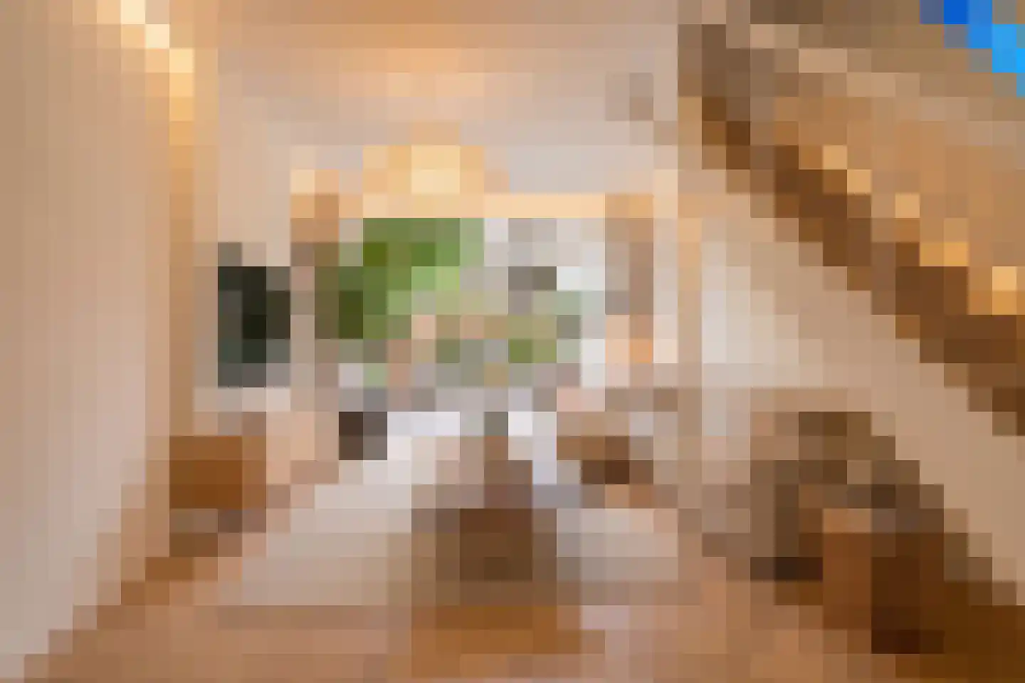 Marcelisstraat 80 Den Haag thumbnail 54