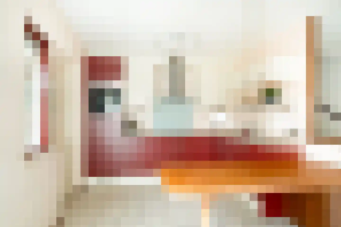 Marcellinuslaan 44 Losser thumbnail 15