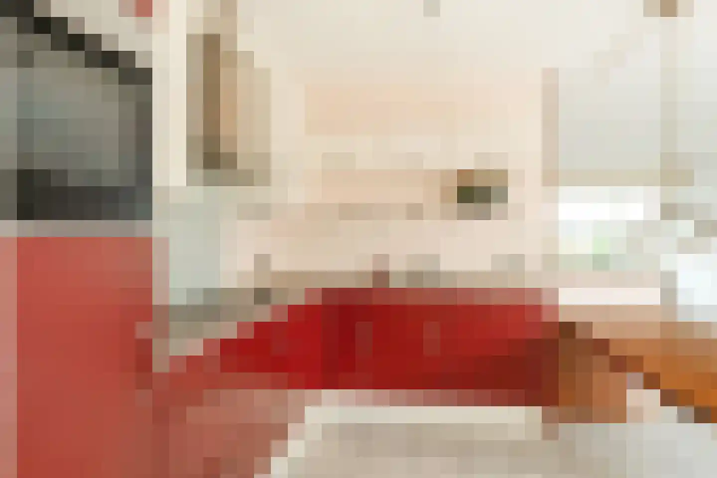 Marcellinuslaan 44 Losser thumbnail 16