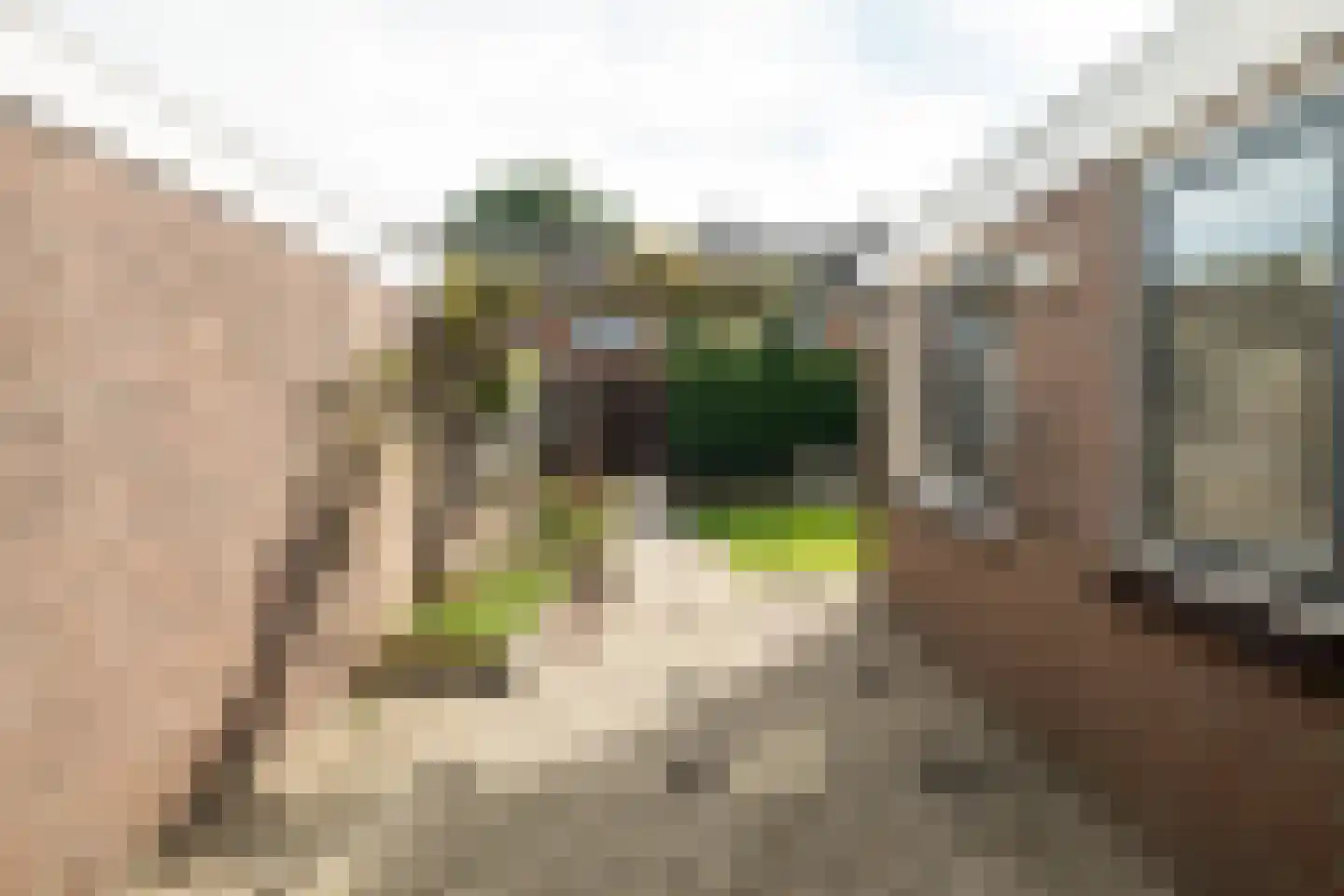 Marcellinuslaan 44 Losser thumbnail 37