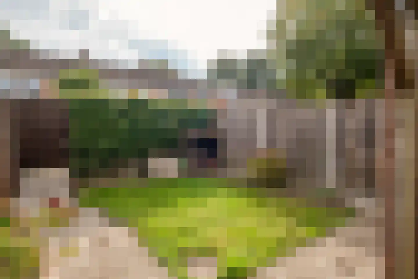 Marcellinuslaan 44 Losser thumbnail 38