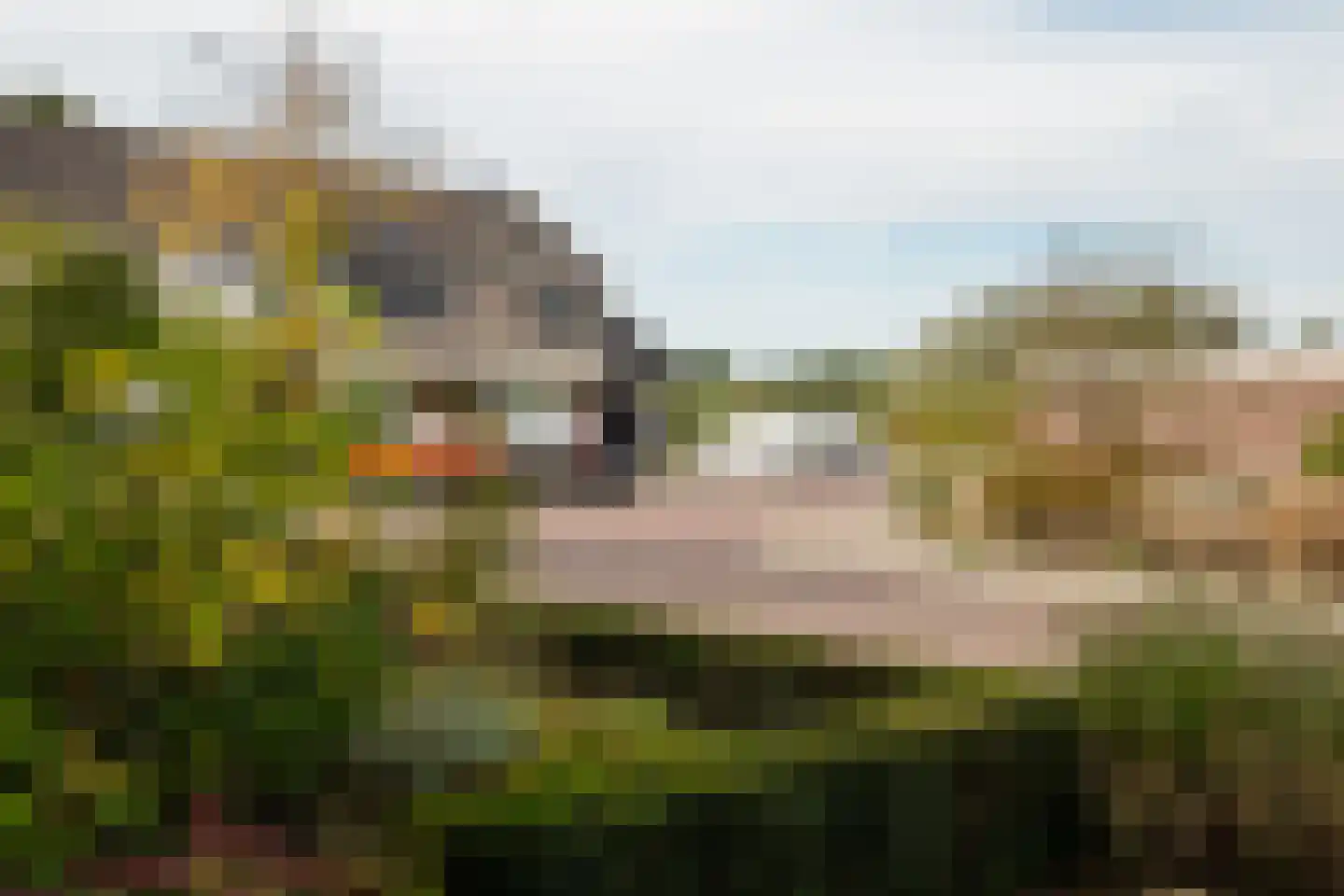 Marcellinuslaan 44 Losser thumbnail 40