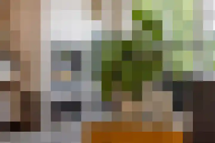 Marcellinuslaan 7 Losser thumbnail 10