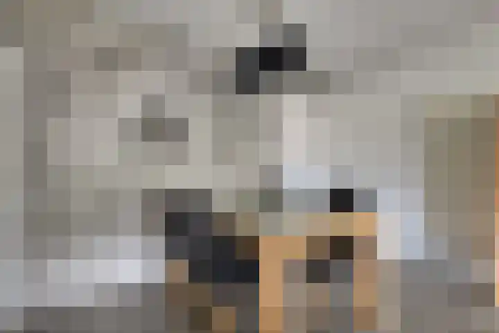 Marcellinuslaan 7 Losser thumbnail 14