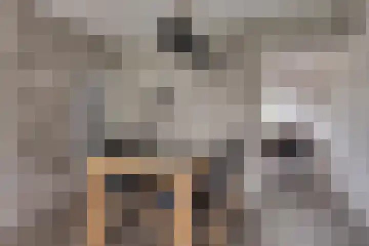 Marcellinuslaan 7 Losser thumbnail 16
