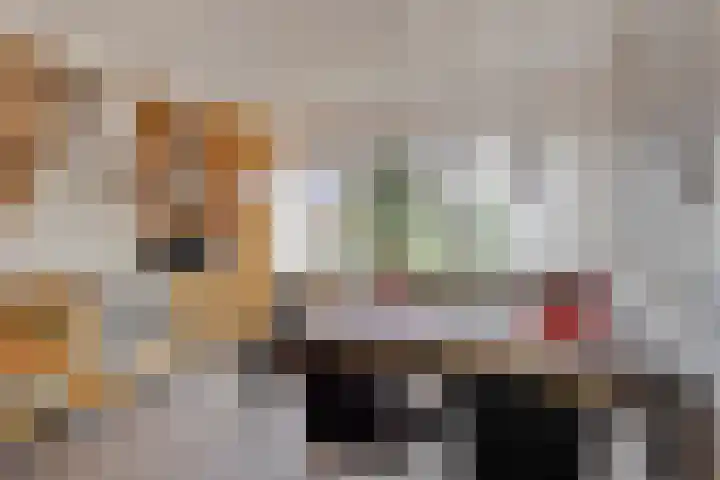 Marcellinuslaan 7 Losser thumbnail 17