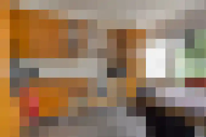 Marcellinuslaan 7 Losser thumbnail 18
