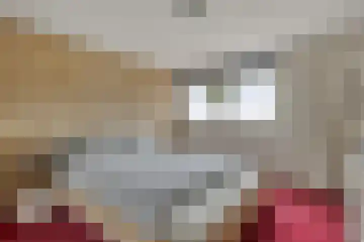 Marcellinuslaan 7 Losser thumbnail 25