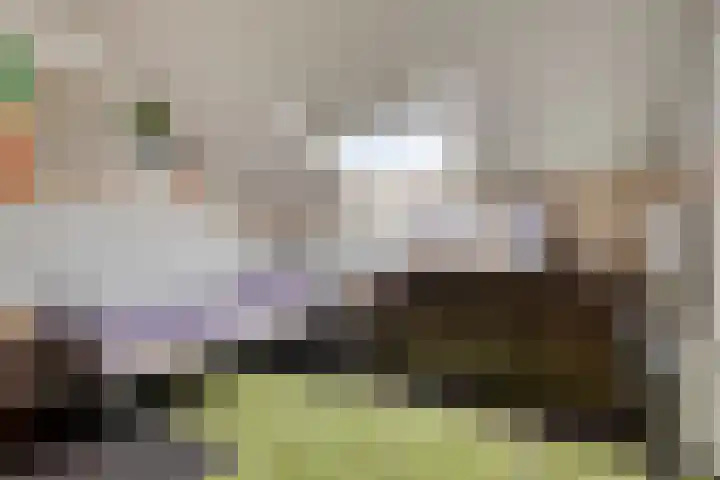 Marcellinuslaan 7 Losser thumbnail 33