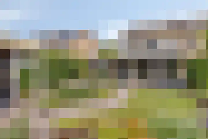Marcellinuslaan 7 Losser thumbnail 41