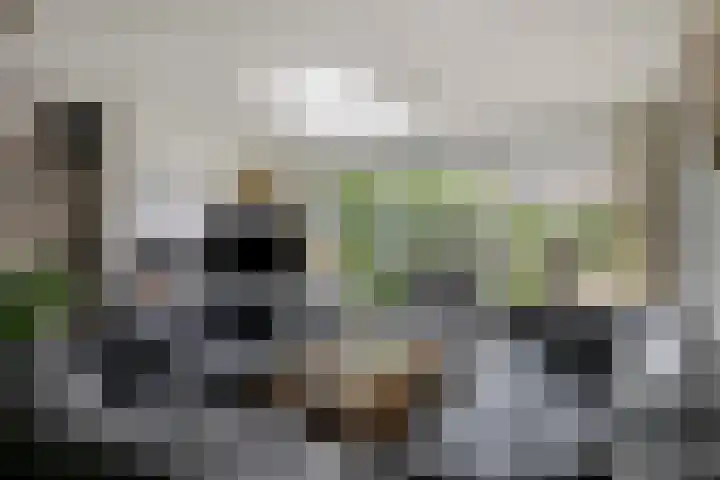 Marcellinuslaan 7 Losser thumbnail 8