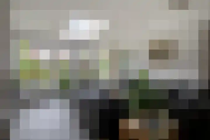 Marcellinuslaan 7 Losser thumbnail 9