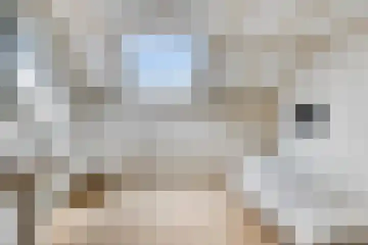 Marcellis Gremmenstraat 8 Macharen thumbnail 25