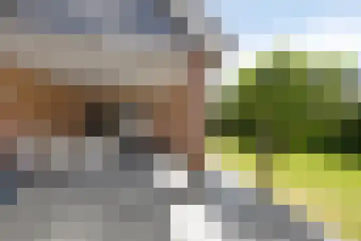 Marcellis Gremmenstraat 8 Macharen thumbnail 36