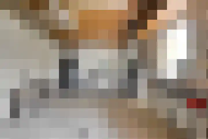 Marcellis Gremmenstraat 8 Macharen thumbnail 37