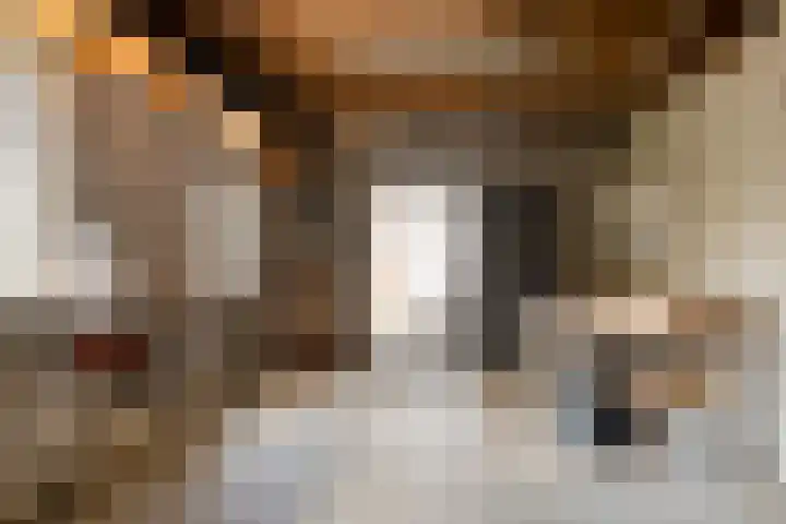 Marcellis Gremmenstraat 8 Macharen thumbnail 38