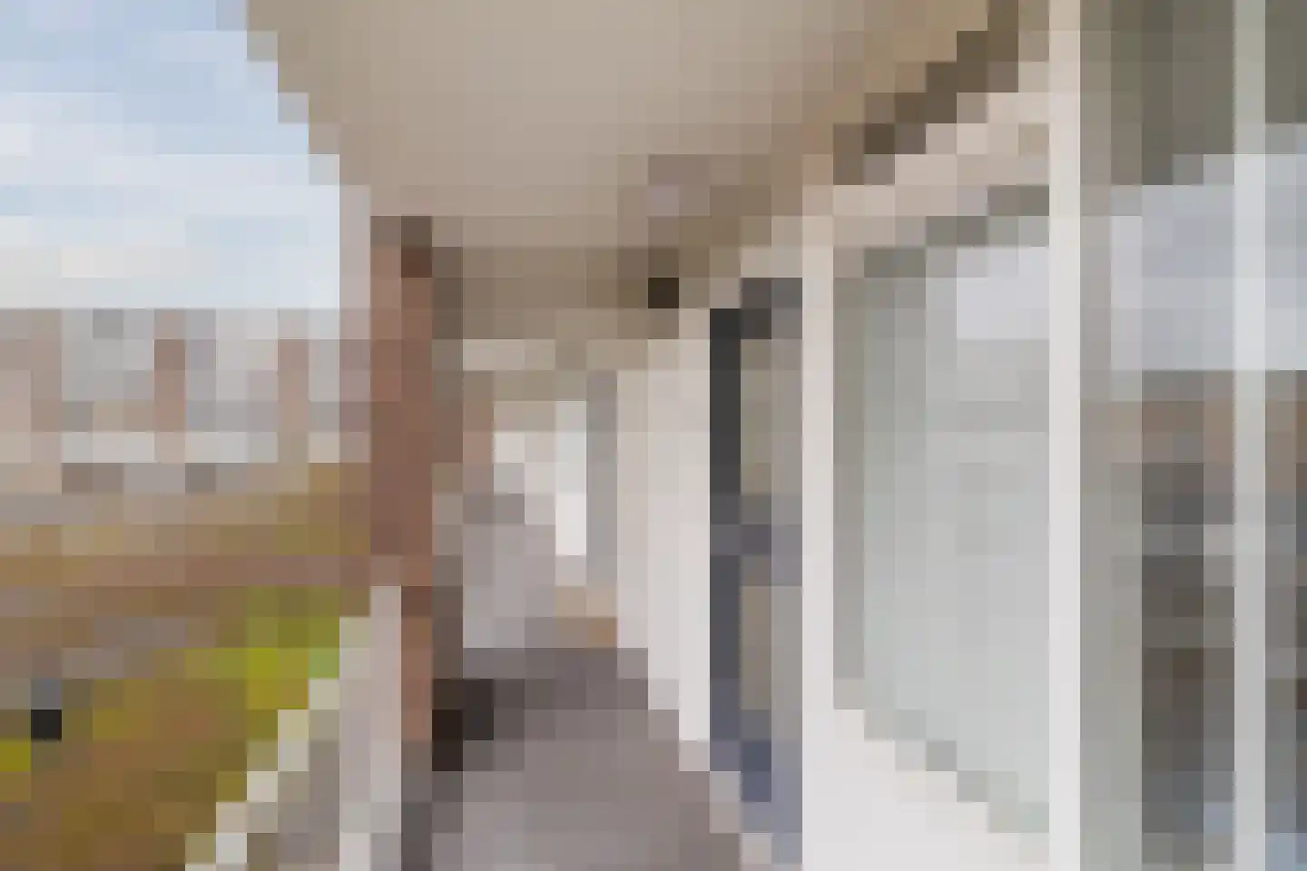 Marcellus Emantslaan 25 Voorburg thumbnail 25