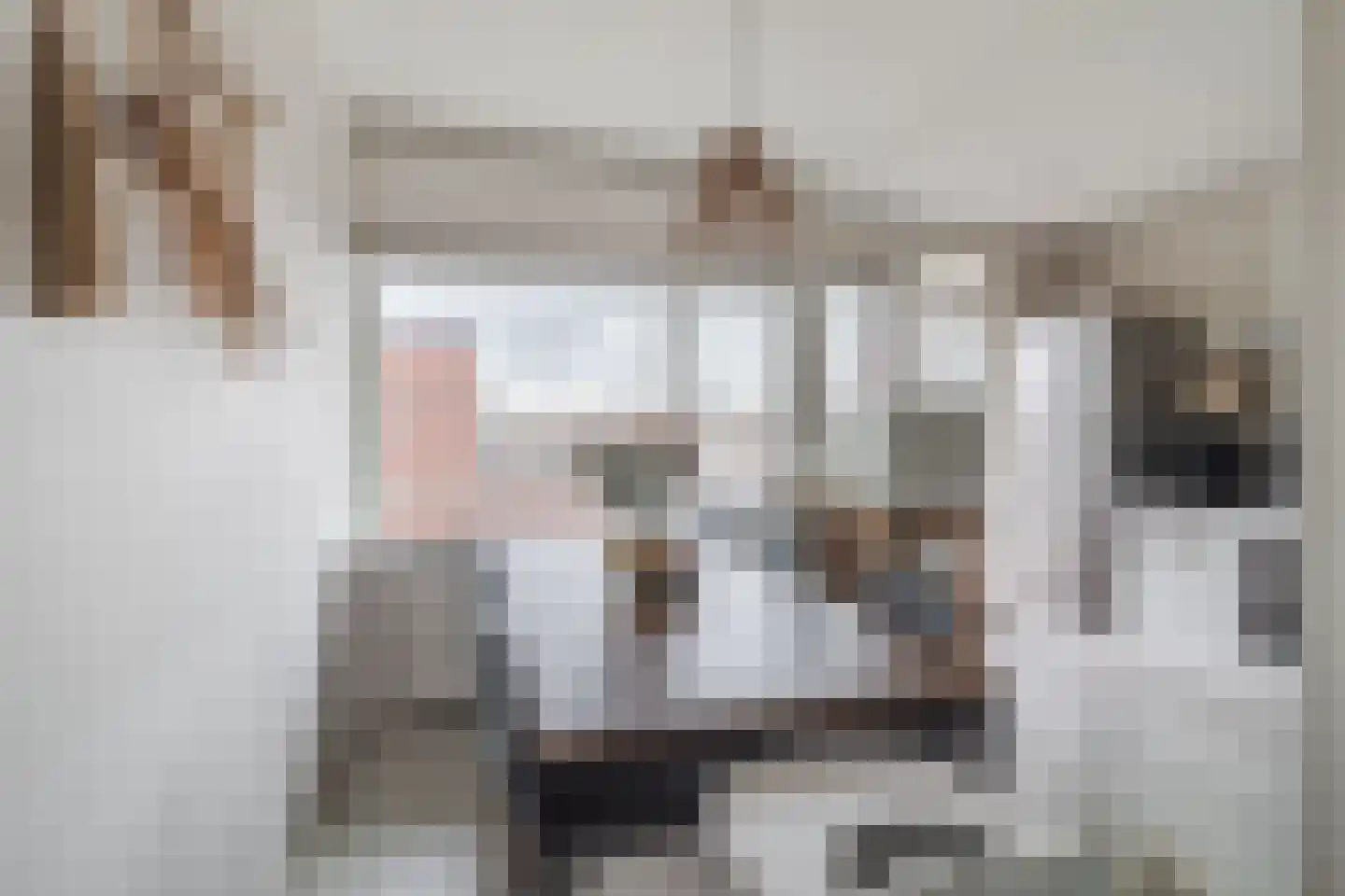 Marcellus Emantslaan 25 Voorburg thumbnail 8