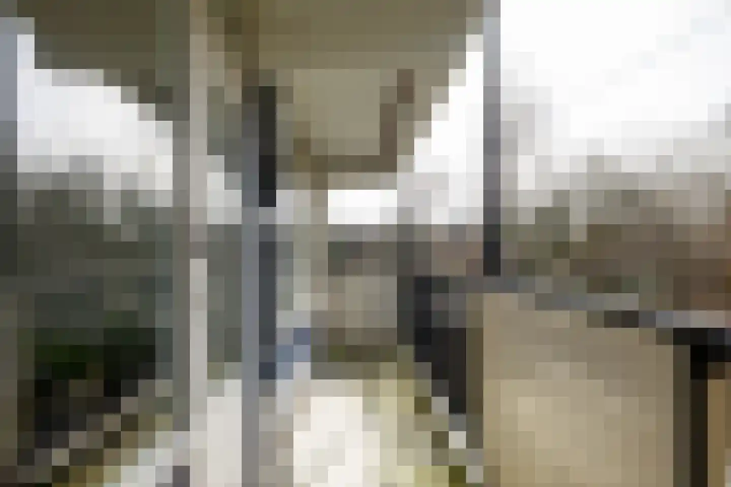 Marcellus Emantslaan 7 Groningen thumbnail 27
