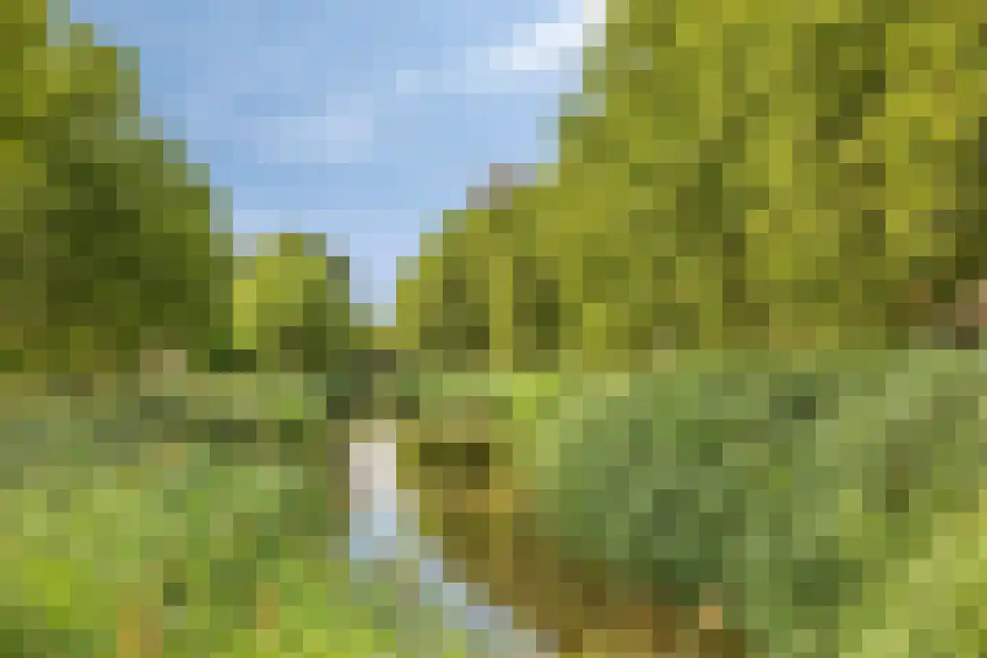 Marcellus Emantspad 24 's-Hertogenbosch thumbnail 26