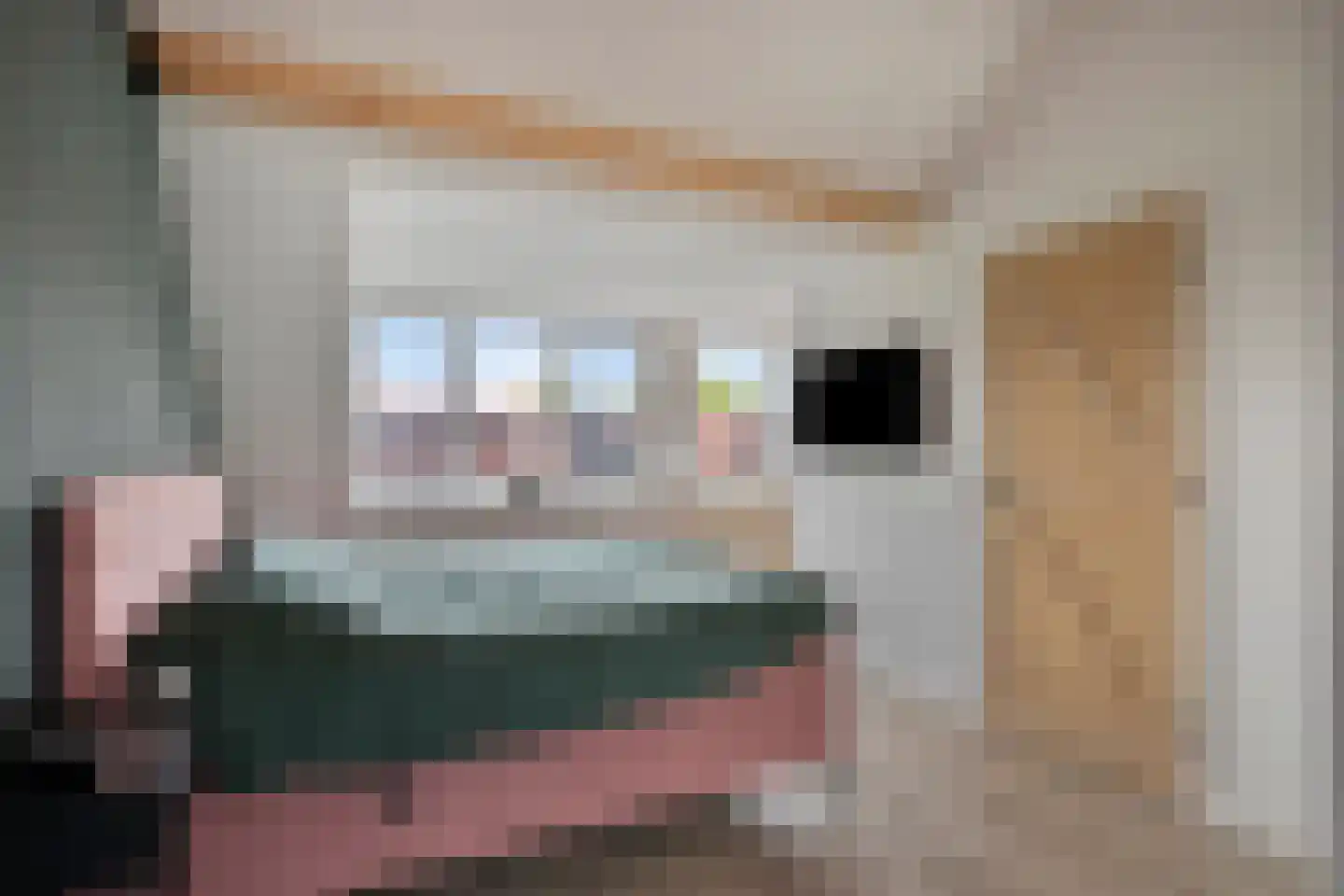 Marcellus Emantspad 8 's-Hertogenbosch thumbnail 32