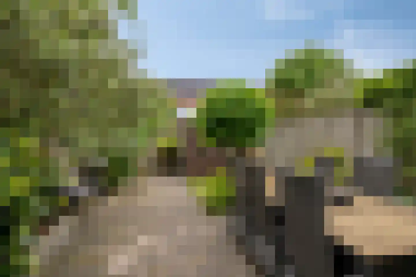 Marcellus Emantspad 8 's-Hertogenbosch thumbnail 35