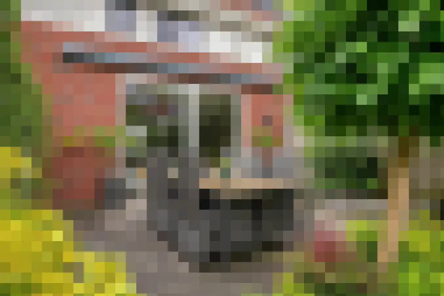 Marcellus Emantspad 8 's-Hertogenbosch thumbnail 37