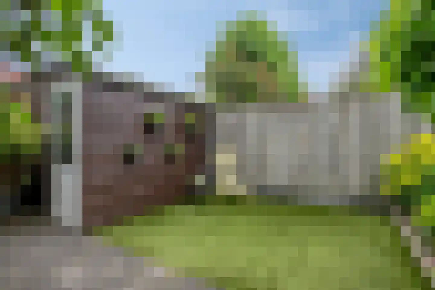 Marcellus Emantspad 8 's-Hertogenbosch thumbnail 39