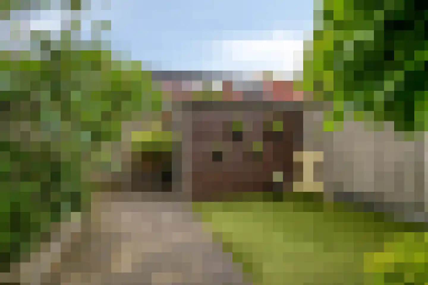 Marcellus Emantspad 8 's-Hertogenbosch thumbnail 40
