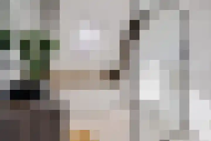 Marcellusstraat 2 Noordwijk thumbnail 33