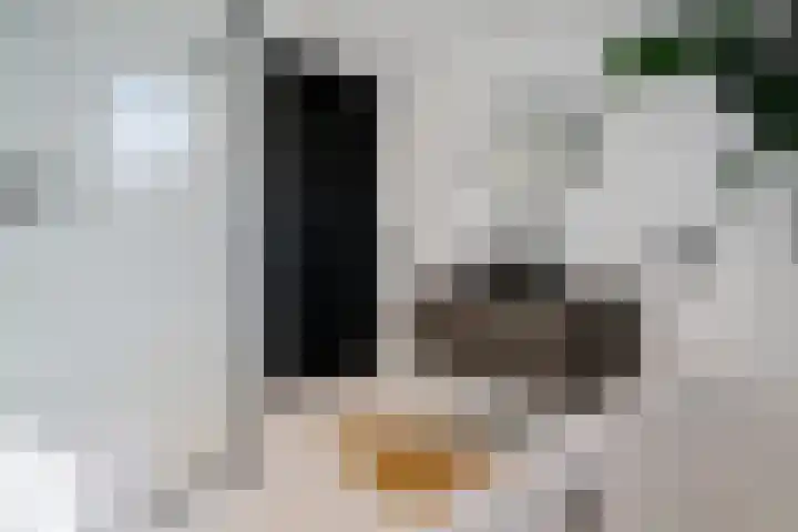 Marcellusstraat 2 Noordwijk thumbnail 36