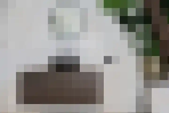 Marcellusstraat 2 Noordwijk thumbnail 37