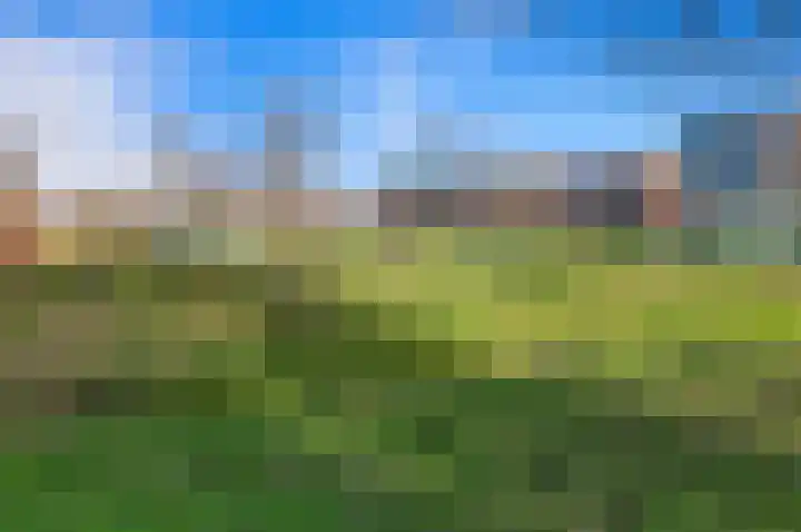 Marchantlaan 20 Schiedam thumbnail 21