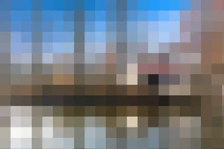 Marchantlaan 20 Schiedam thumbnail 24