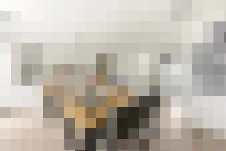 Marchantstraat 20 in Zwijndrecht